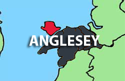 Shop locally in the Anglesey