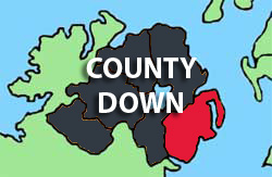 Shop locally in the County Down