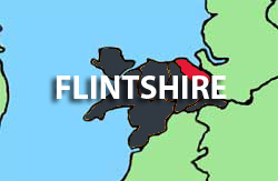 Shop locally in the Flintshire