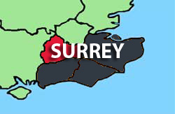 Shop locally in the Surrey